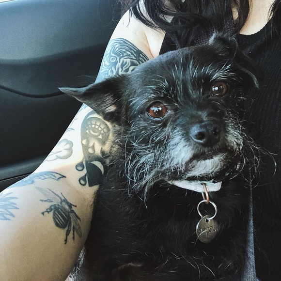 Meet your Posher, Alyssa - Picture 3 of 3